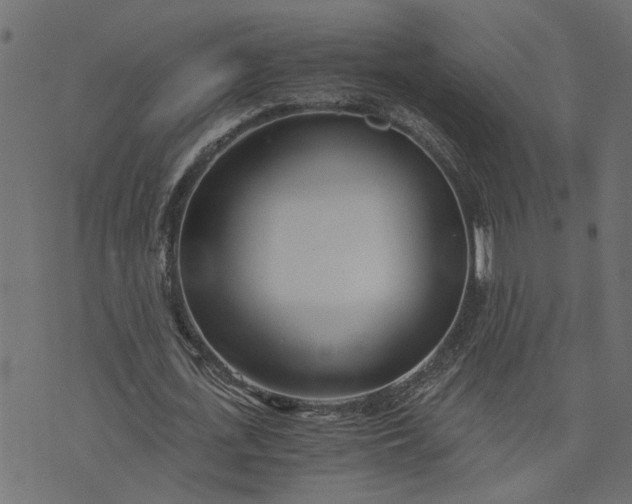 X0000073720723200608171202