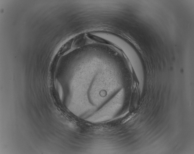 X0000073720724200608171202