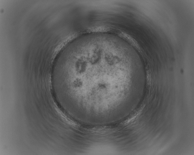 X0000073720725200608171203