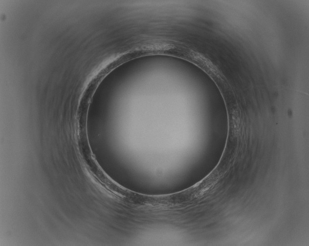 X0000073720726200608171203