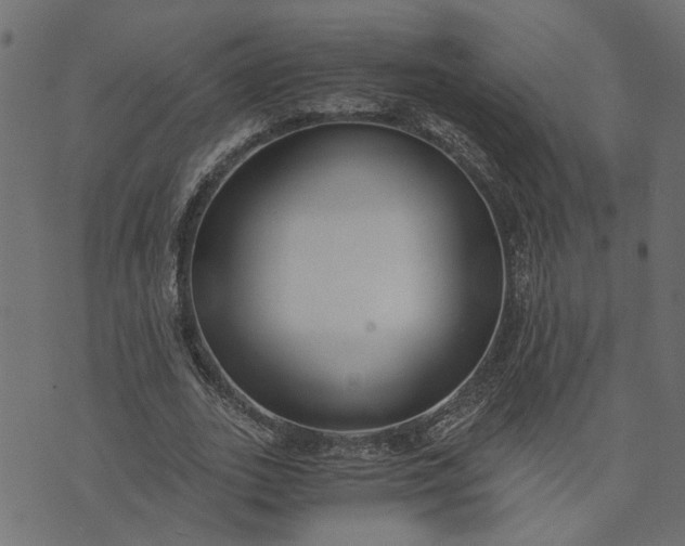 X0000073720727200608171203