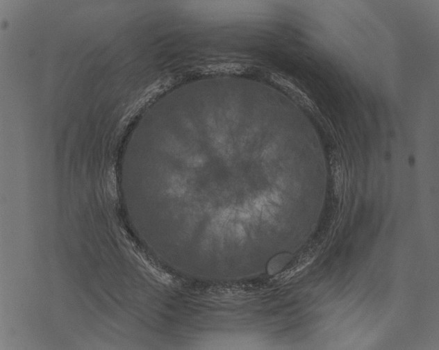 X0000073720729200608171203