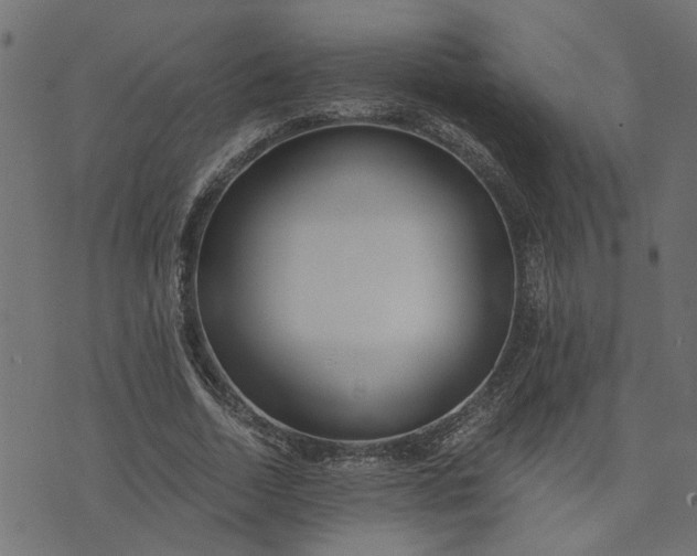 X0000073720730200608171203