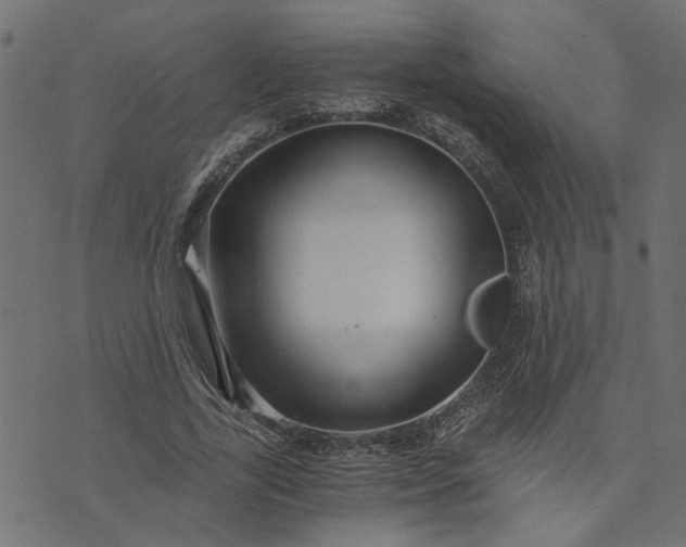 X0000073720731200608171203