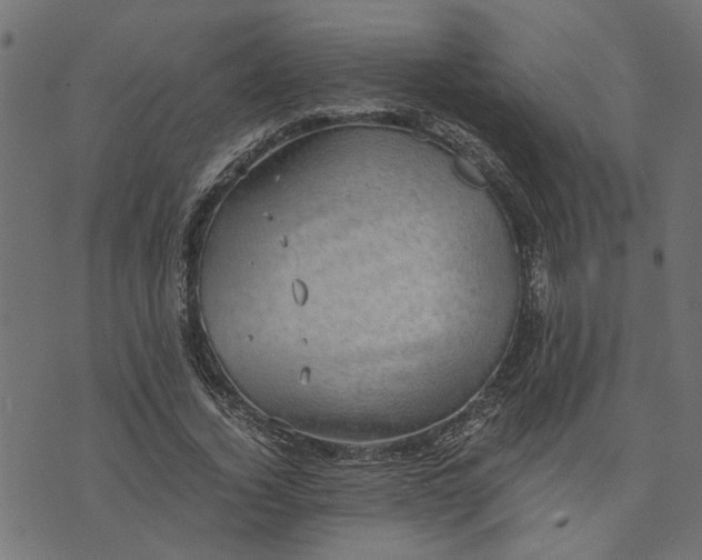 X0000073720732200608171203