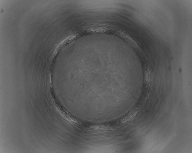 X0000073720733200608171203