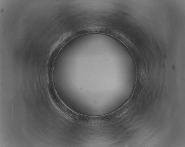 X0000073720734200608171203