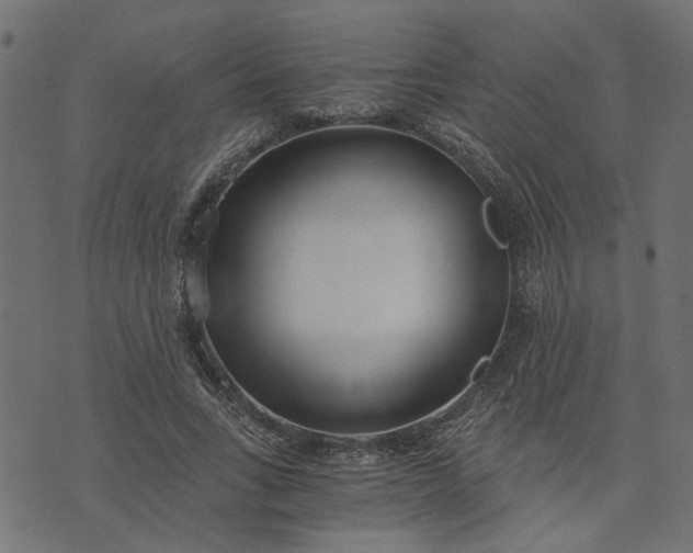 X0000073720735200608171203