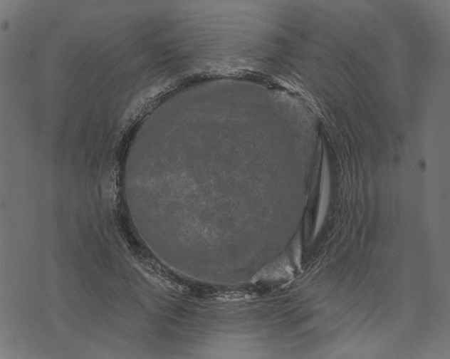 X0000073720736200608171203