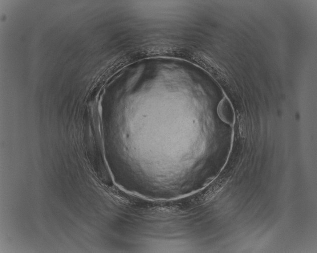 X0000073720737200608171203