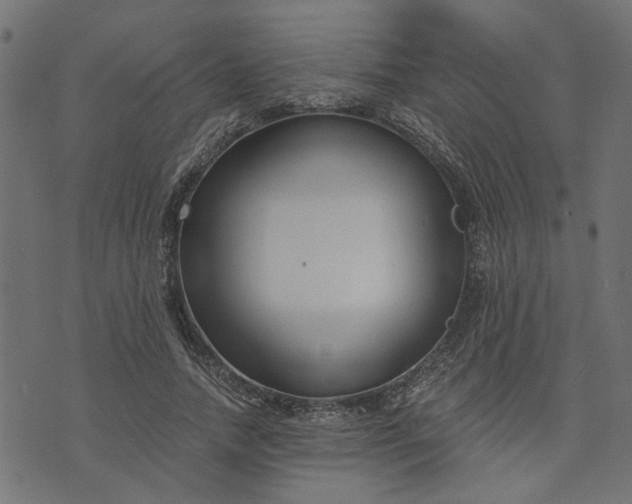 X0000073720738200608171203