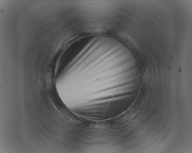 X0000073720739200608171203