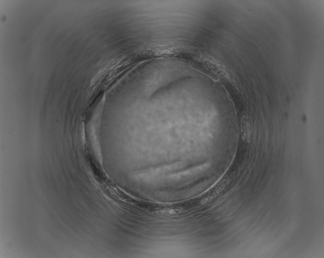 X0000073720740200608171203