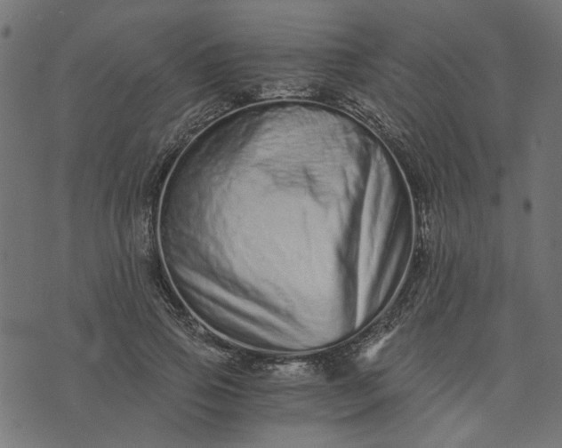 X0000073720741200608171203