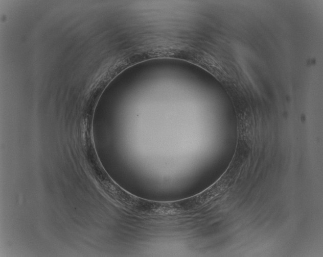 X0000073720742200608171203