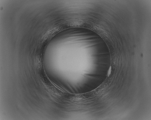 X0000073720743200608171203