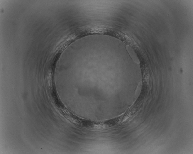 X0000073720744200608171203