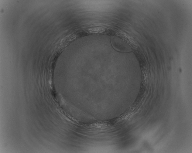 X0000073720745200608171203