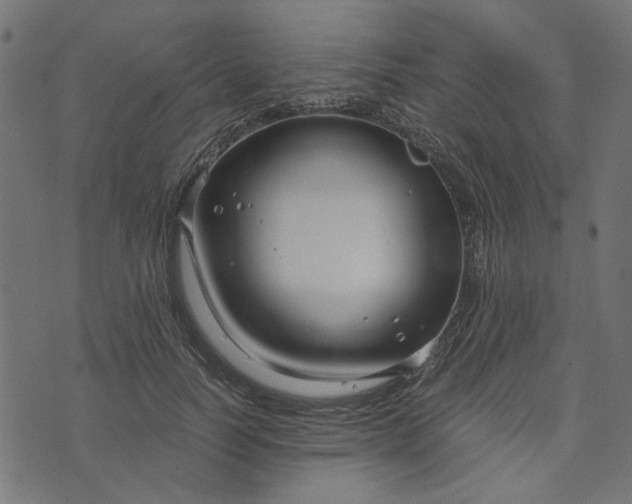 X0000073720746200608171203