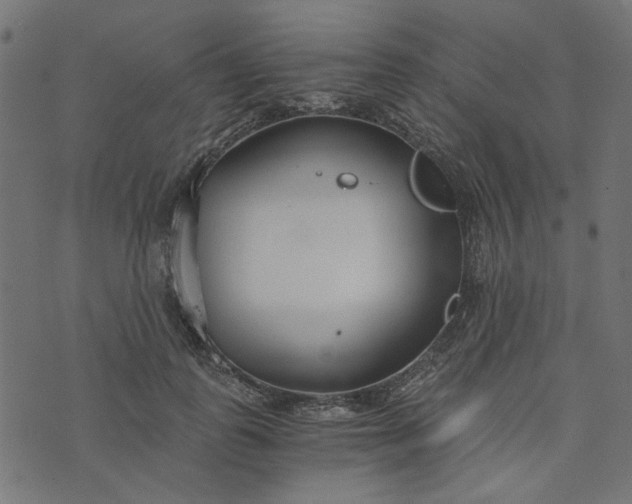 X0000073720747200608171203