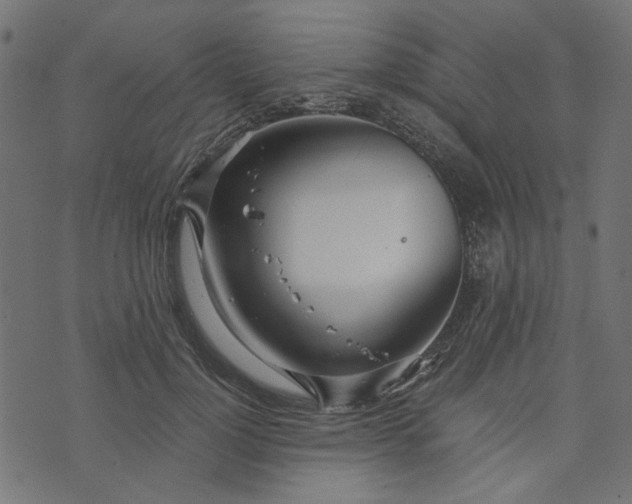 X0000073720748200608171203