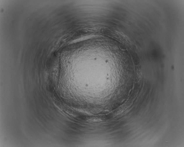 X0000073720749200608171203