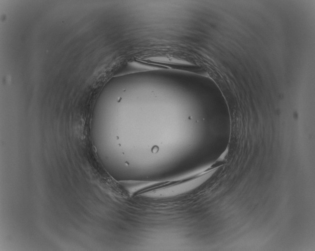 X0000073720750200608171203