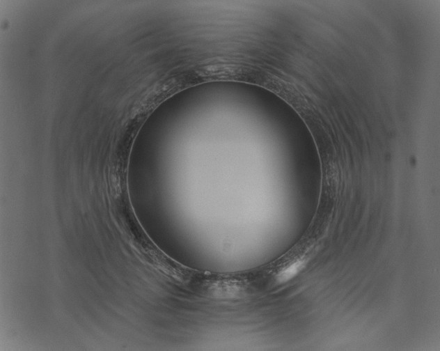 X0000073720751200608171203