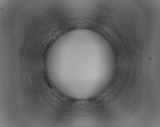 X0000073720752200608171203