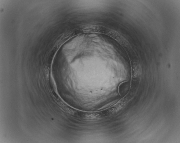 X0000073720753200608171203