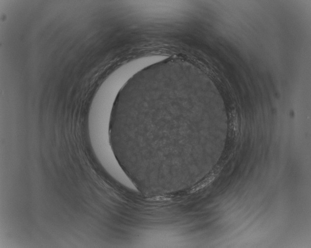 X0000073720754200608171203