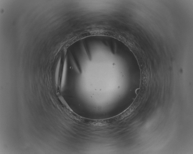 X0000073720755200608171203