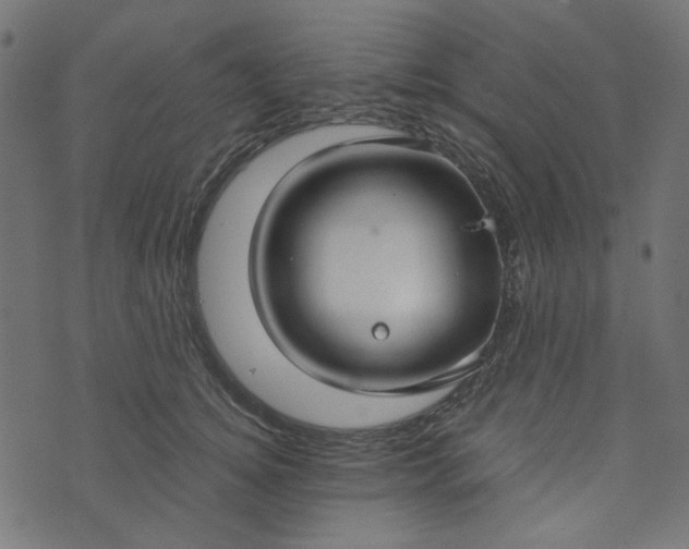 X0000073720756200608171203