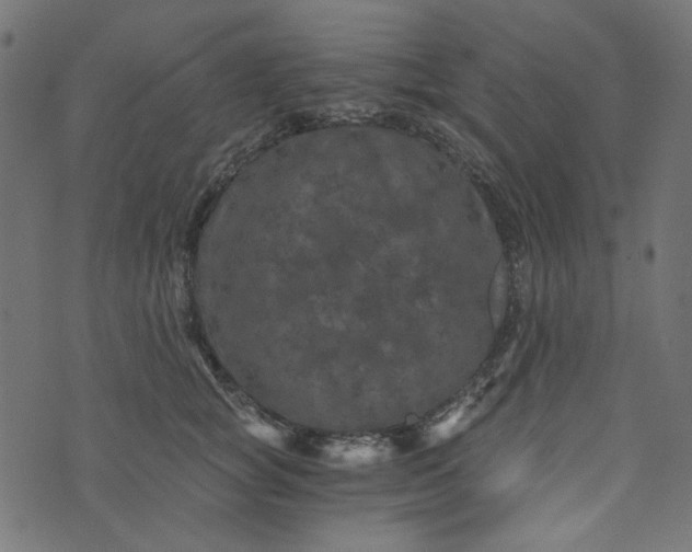 X0000073720757200608171203