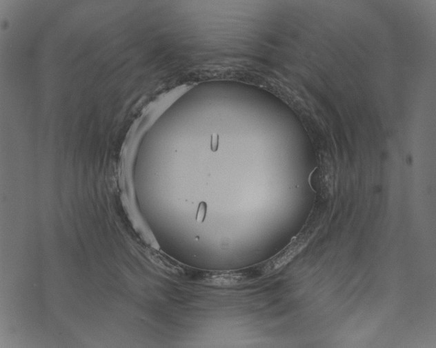 X0000073720758200608171203