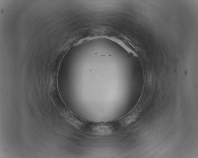 X0000073720759200608171203