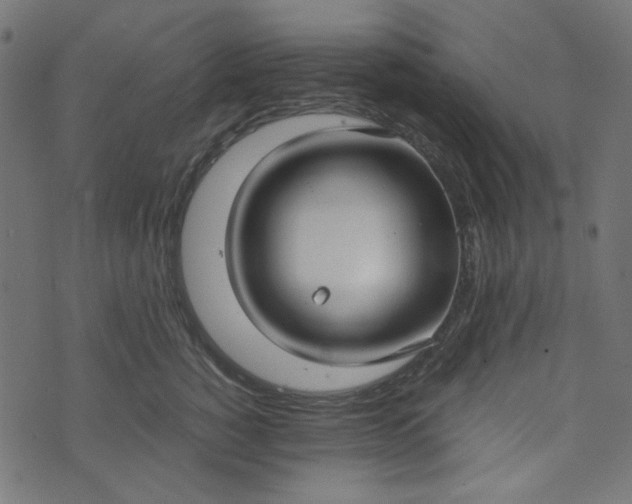 X0000073720760200608171203