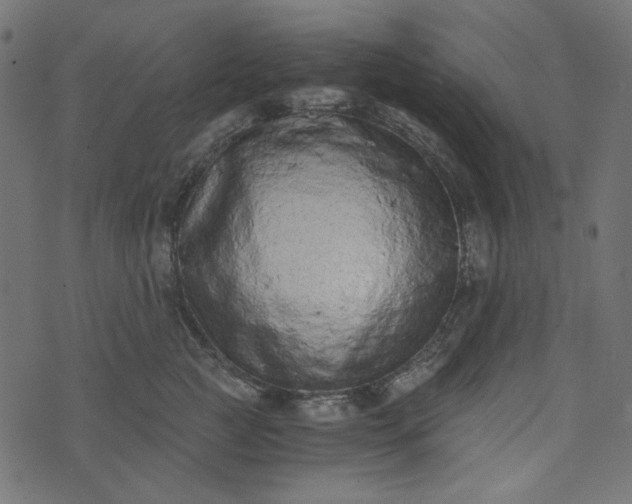 X0000073720761200608171203