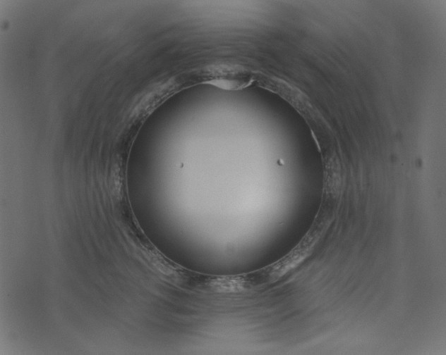 X0000073720762200608171203