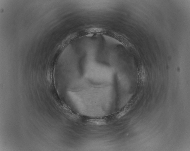 X0000073720763200608171203