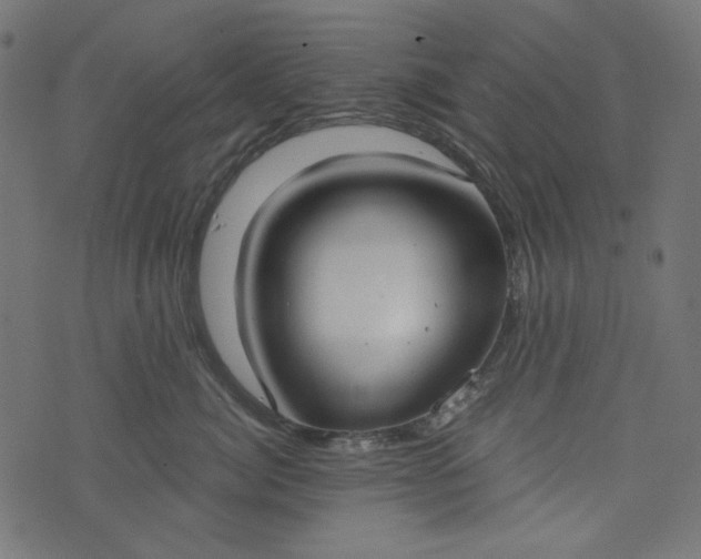 X0000073720764200608171203