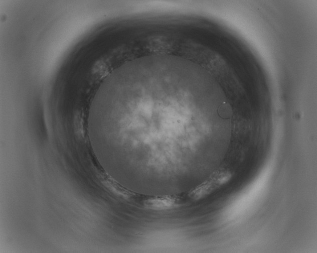 X0000073720765200608171203