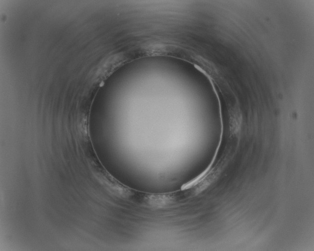 X0000073720766200608171203