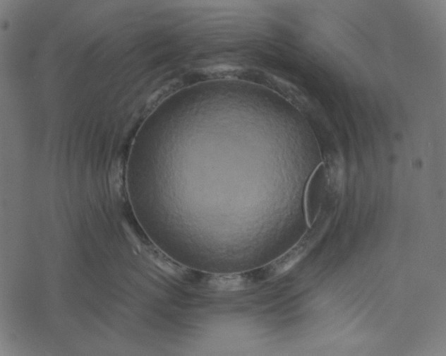 X0000073720767200608171203