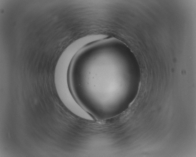 X0000073720768200608171203