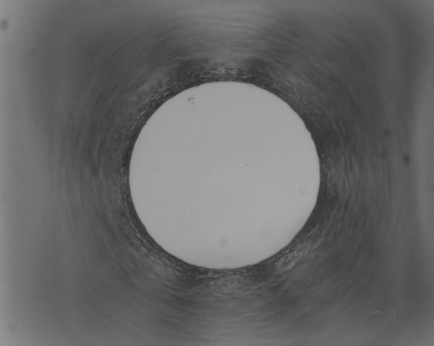 X0000073720769200608171202