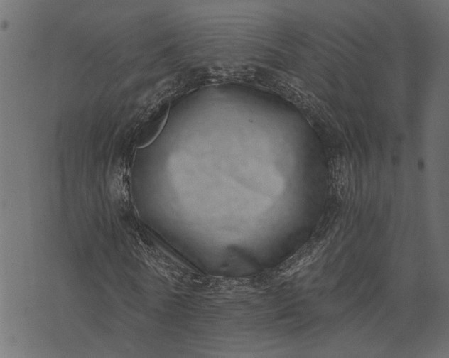 X0000073720770200608171202