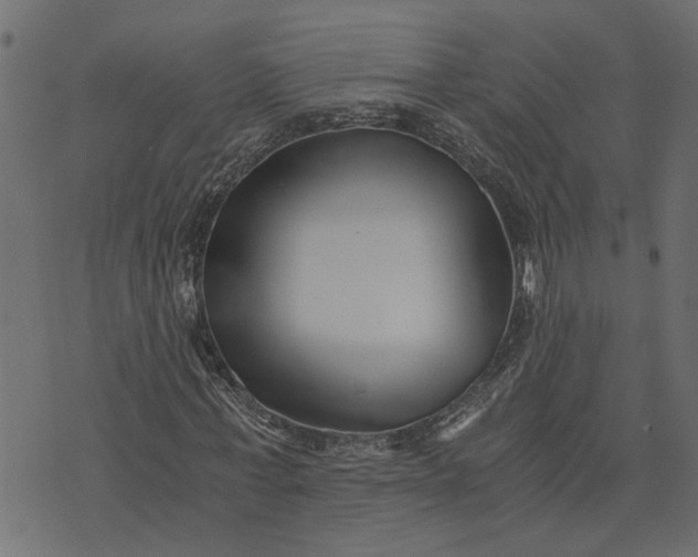 X0000073720771200608171202