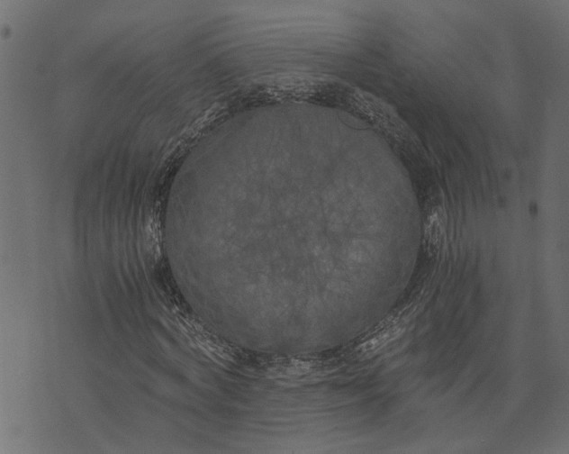 X0000073720772200608171202