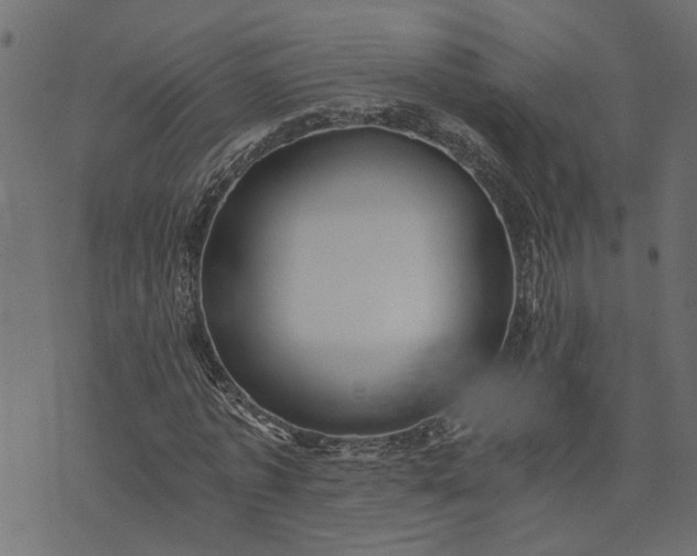 X0000073720773200608171202